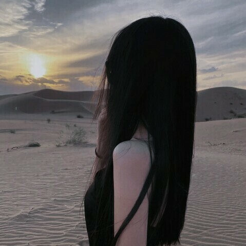 sado英文