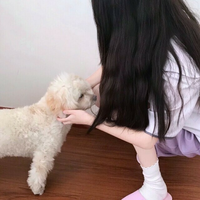承认吧歌好不好听